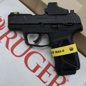 Ruger LCP Max